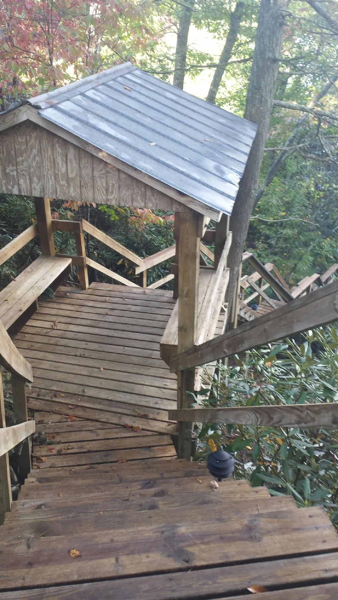 Metal roofed shelter over wooden steps on a wooded walkway — Skylight Repair & Installation work by our crew in Wildersville